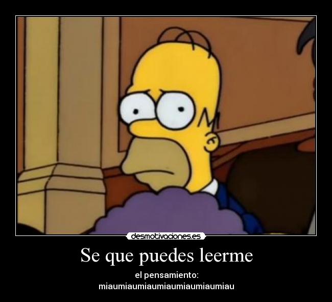 Se que puedes leerme -