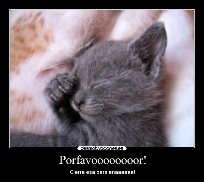 Porfavoooooooor! -