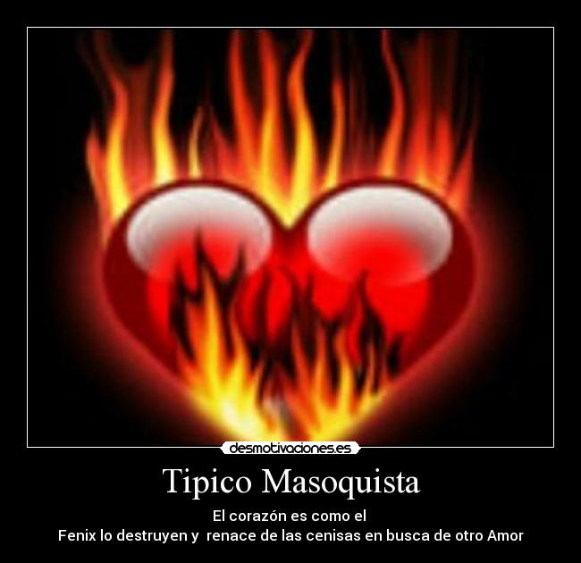 Tipico Masoquista - El corazón es como el
Fenix lo destruyen y renace de las cenisas en busca de otro Amor