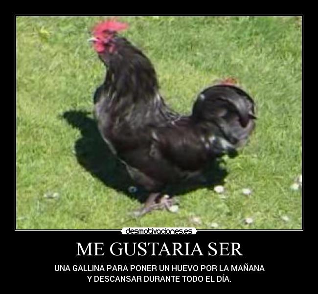 carteles chisto desmotivaciones