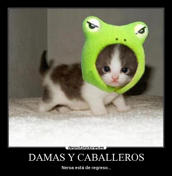 DAMAS Y CABALLEROS - 