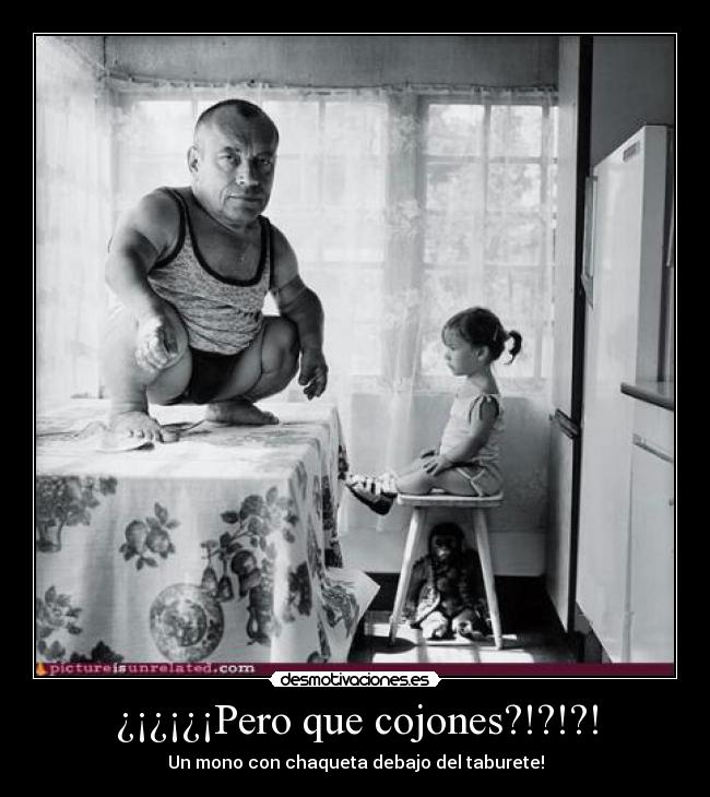 ¿¡¿¡¿¡Pero que cojones?!?!?! - Un mono con chaqueta debajo del taburete!