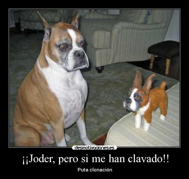 ¡¡Joder, pero si me han clavado!! -