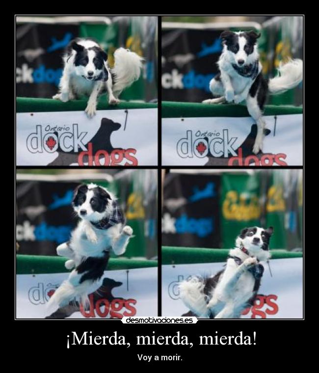 ¡Mierda, mierda, mierda! -