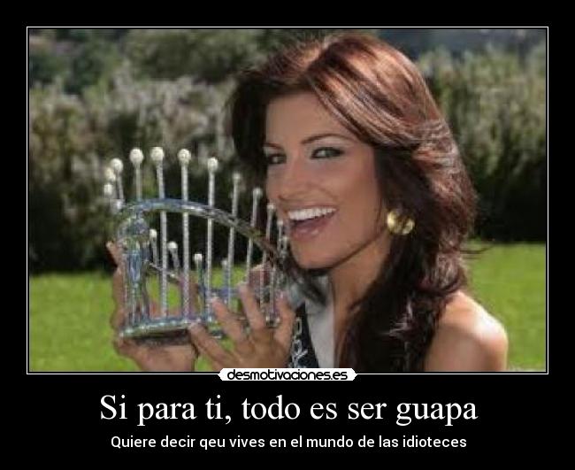 carteles miss universo desmotivaciones