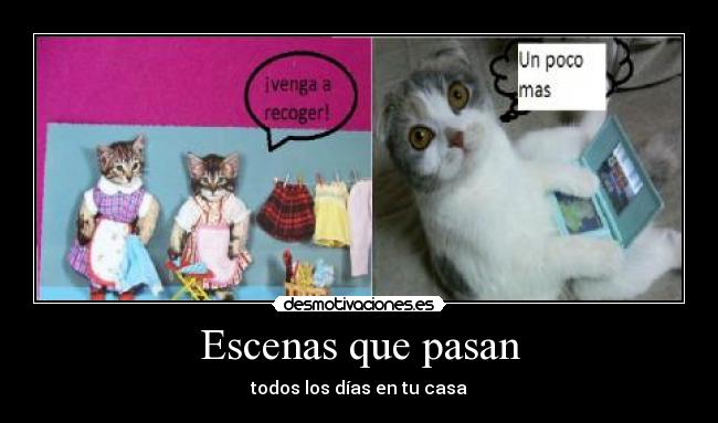 Escenas que pasan - todos los días en tu casa