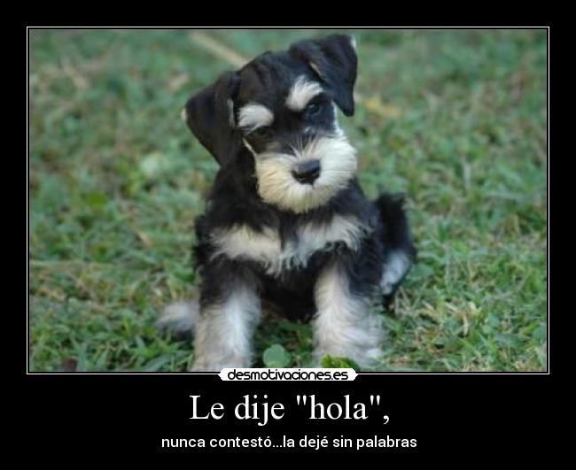 Le dije hola, - nunca contestó...la dejé sin palabras