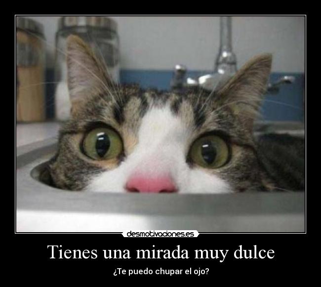 Tienes una mirada muy dulce -