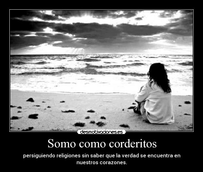 carteles jiji corderitos desmotivaciones