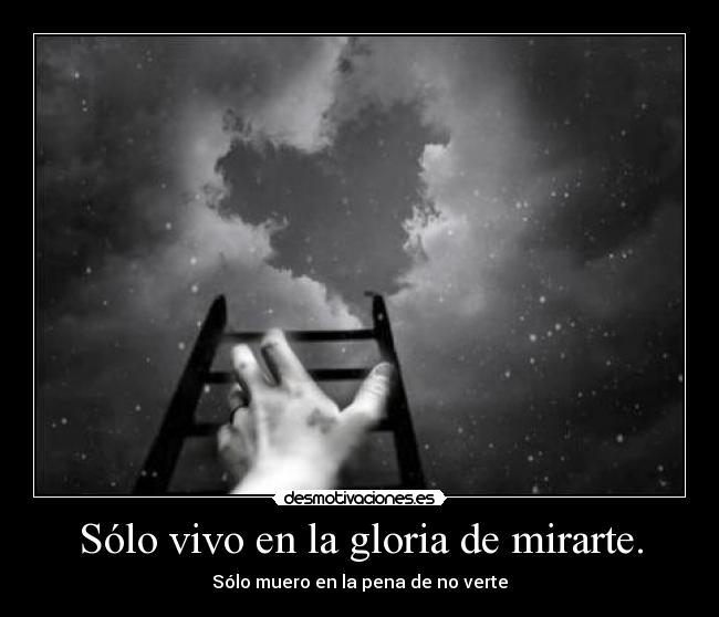 Sólo vivo en la gloria de mirarte. - Sólo muero en la pena de no verte