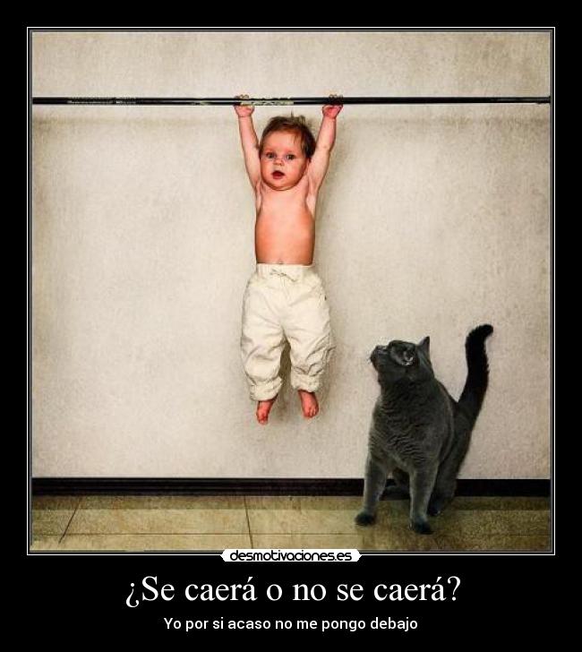 ¿Se caerá o no se caerá? - Yo por si acaso no me pongo debajo