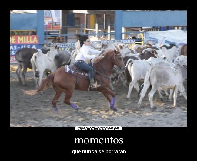 momentos - 
