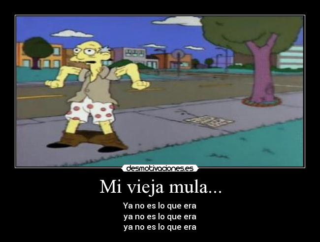 Mi vieja mula... -