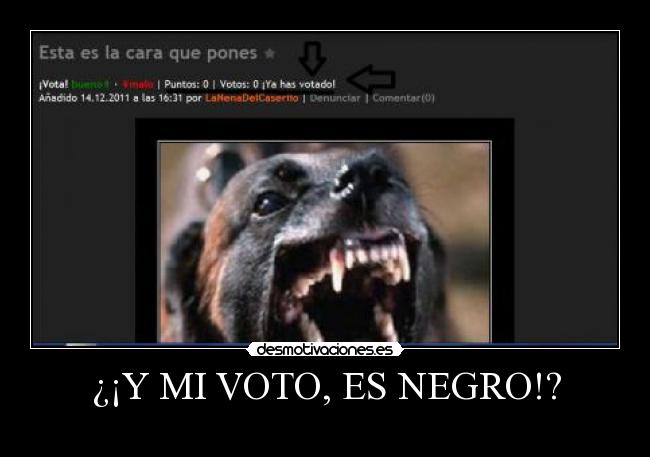 ¿¡Y MI VOTO, ES NEGRO!? - 