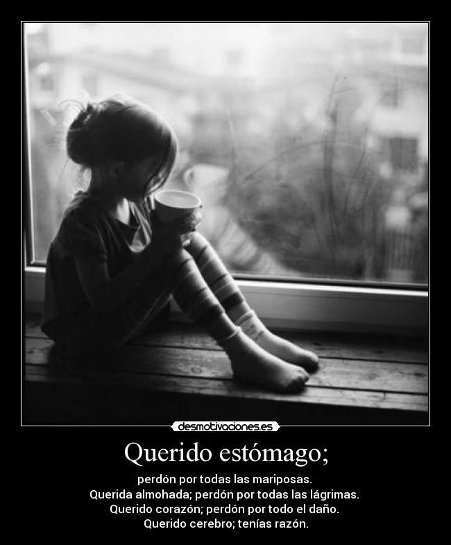Querido estómago; - perdón por todas las mariposas.
Querida almohada; perdón por todas las lágrimas.
Querido corazón; perdón por todo el daño.
Querido cerebro; tenías razón.