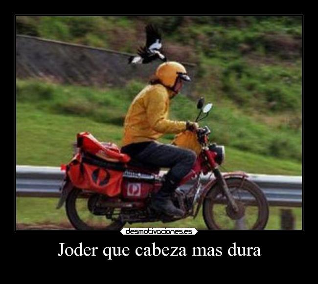 Joder que cabeza mas dura - 
