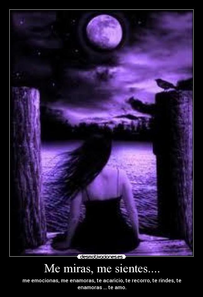 carteles fefeeeweweewewewew desmotivaciones