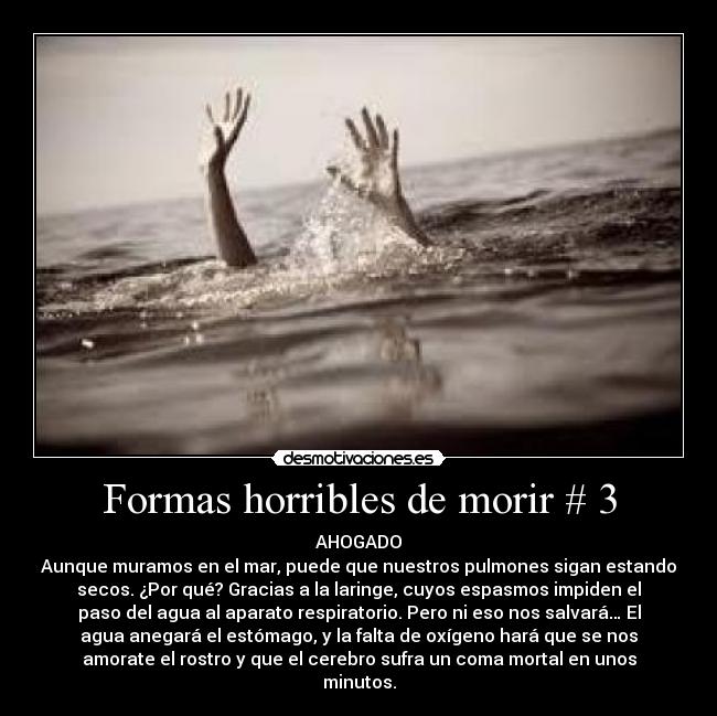Formas horribles de morir # 3 - AHOGADO
Aunque muramos en el mar, puede que nuestros pulmones sigan estando
secos. ¿Por qué? Gracias a la laringe, cuyos espasmos impiden el
paso del agua al aparato respiratorio. Pero ni eso nos salvará… El
agua anegará el estómago, y la falta de oxígeno hará que se nos
amorate el rostro y que el cerebro sufra un coma mortal en unos
minutos.