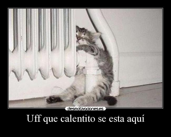 Uff que calentito se esta aquí - 