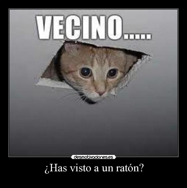 ¿Has visto a un ratón? -