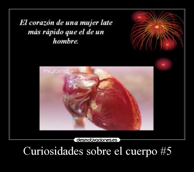 Curiosidades sobre el cuerpo #5 - 