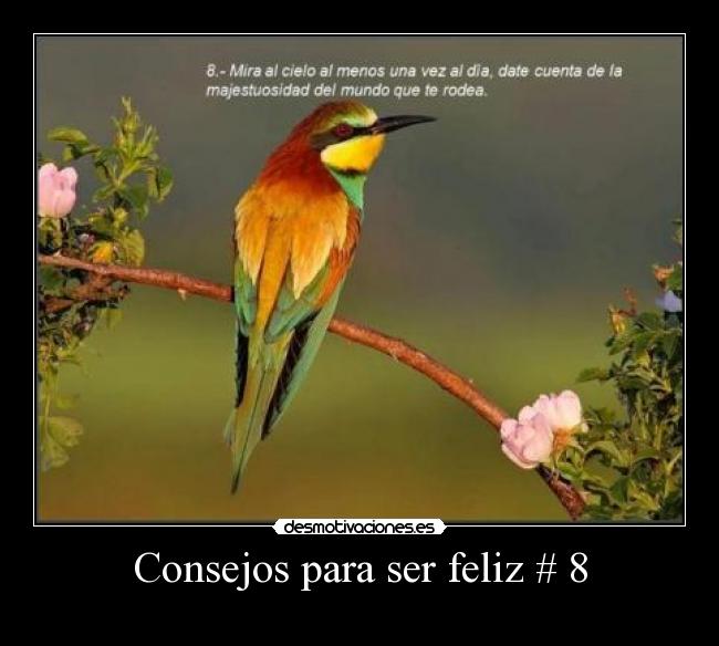 Consejos para ser feliz # 8 - 