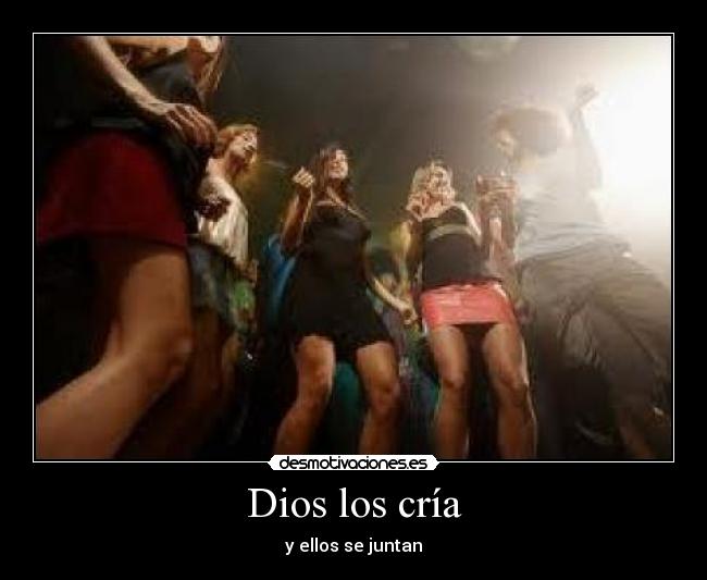 Dios los cría - 