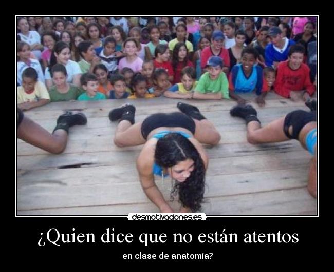 carteles dsf desmotivaciones