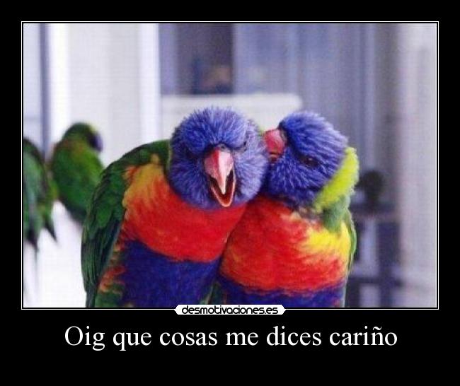 Oig que cosas me dices cariño -