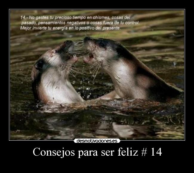 carteles fgd desmotivaciones