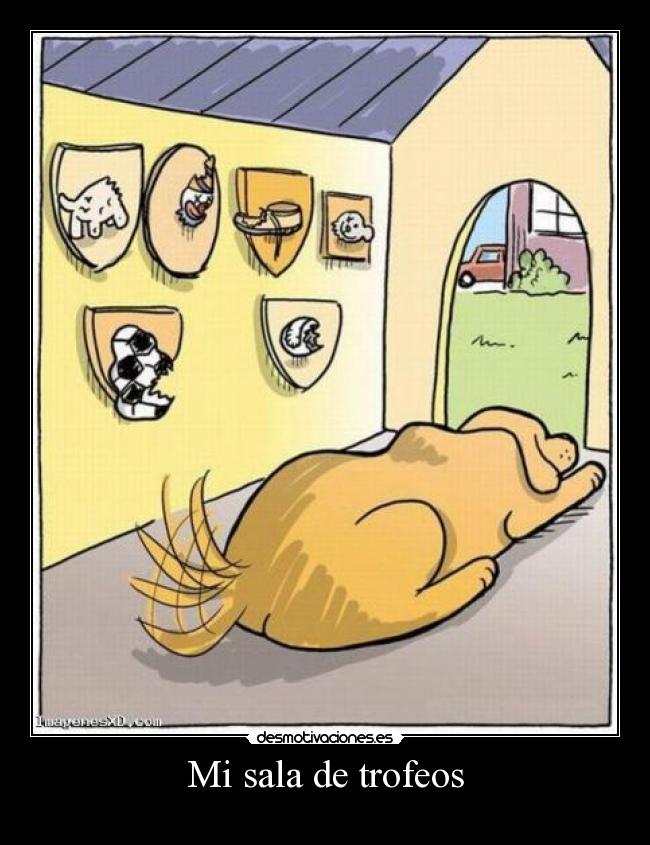 Mi sala de trofeos -
