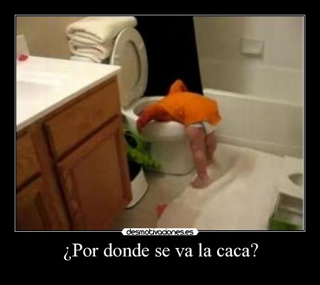 ¿Por donde se va la caca? - 
