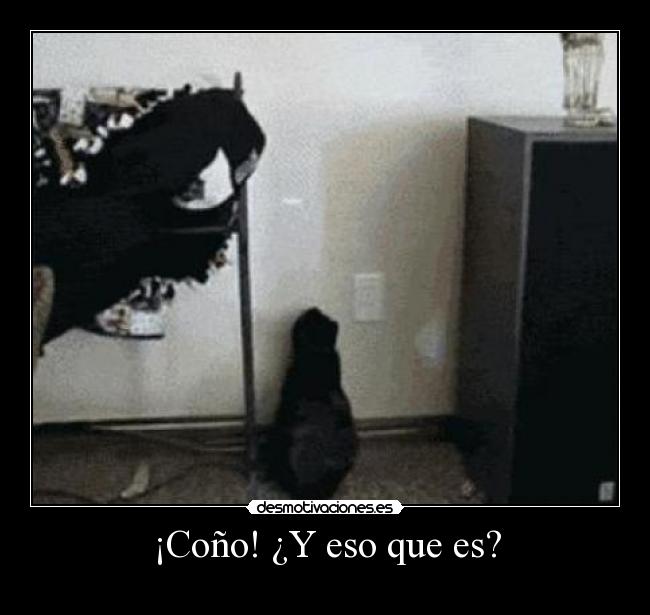 ¡Coño! ¿Y eso que es? -