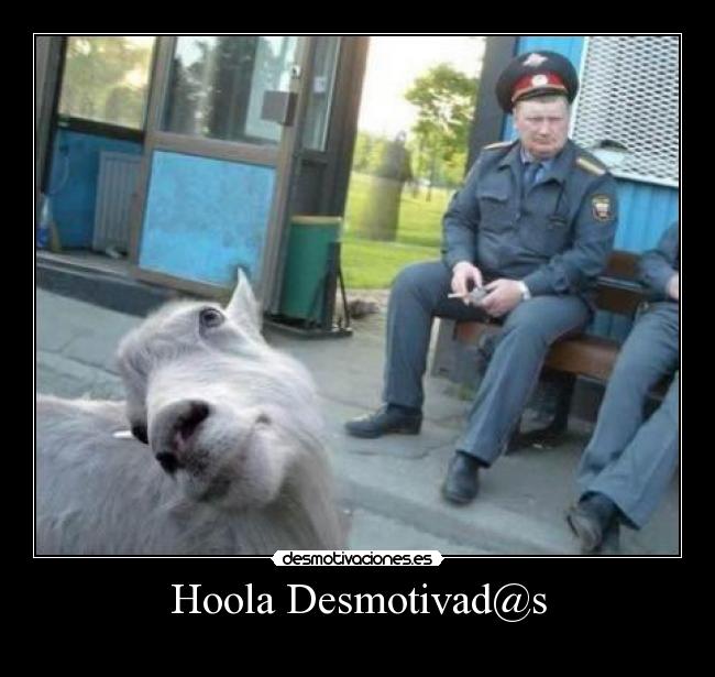 Hoola Desmotivad@s -