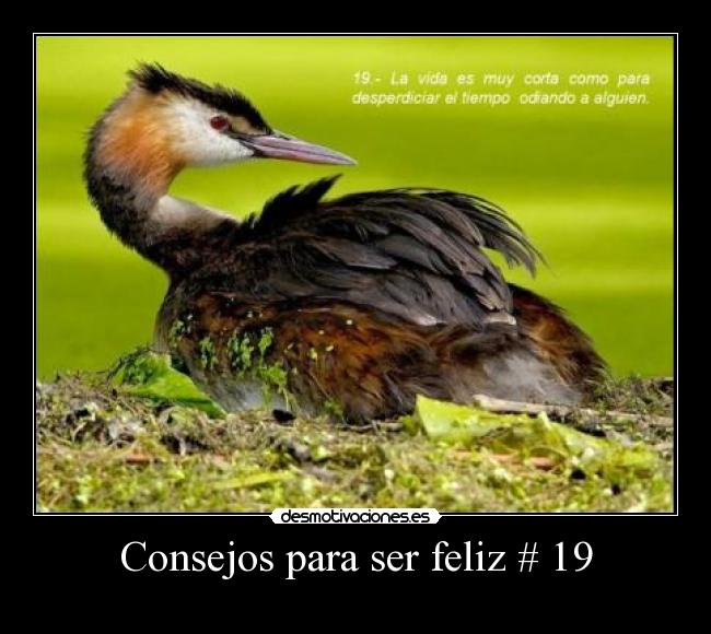 carteles desmotivaciones