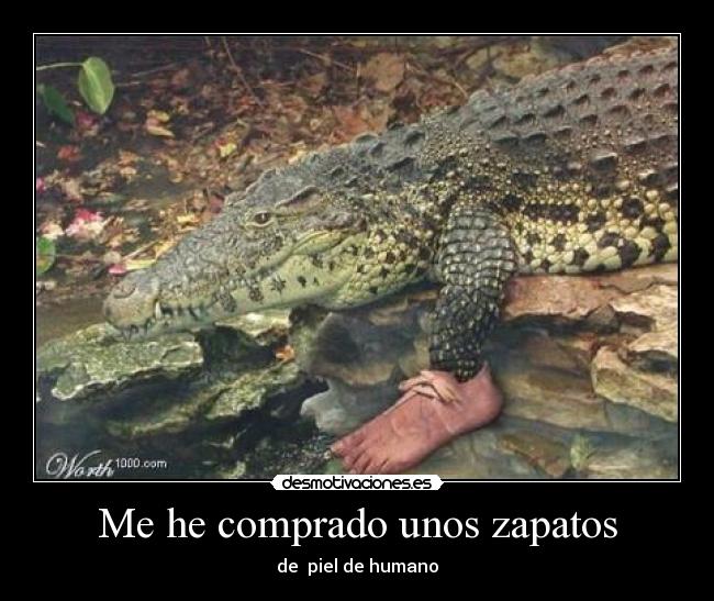 Me he comprado unos zapatos - 