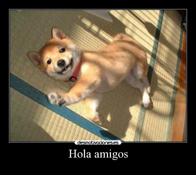 Hola amigos -
