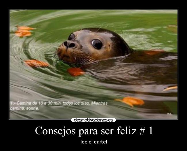 carteles  desmotivaciones