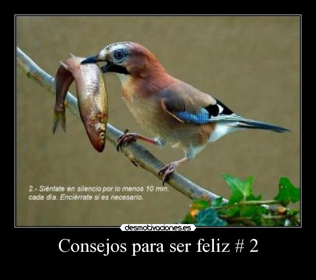 Consejos para ser feliz # 2 - 