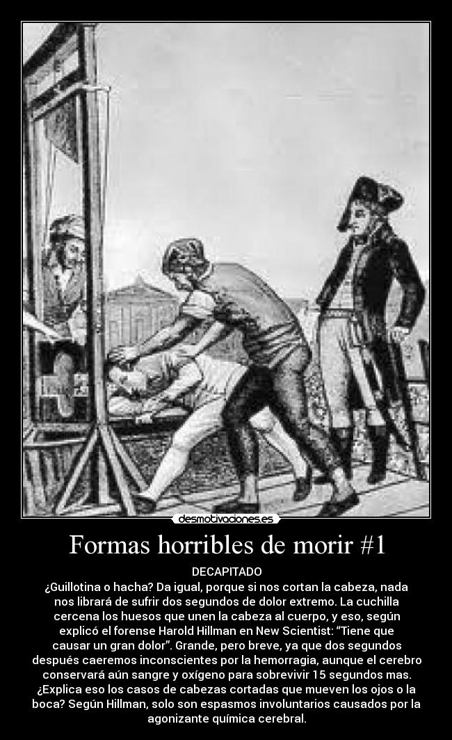 Formas horribles de morir #1 - DECAPITADO
¿Guillotina o hacha? Da igual, porque si nos cortan la cabeza, nada
nos librará de sufrir dos segundos de dolor extremo. La cuchilla
cercena los huesos que unen la cabeza al cuerpo, y eso, según
explicó el forense Harold Hillman en New Scientist: “Tiene que
causar un gran dolor”. Grande, pero breve, ya que dos segundos
después caeremos inconscientes por la hemorragia, aunque el cerebro
conservará aún sangre y oxígeno para sobrevivir 15 segundos mas.
¿Explica eso los casos de cabezas cortadas que mueven los ojos o la
boca? Según Hillman, solo son espasmos involuntarios causados por la
agonizante química cerebral.