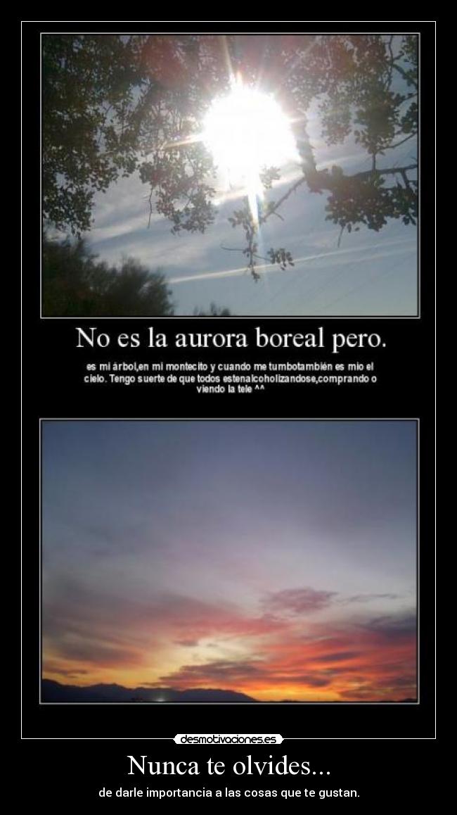 Nunca te olvides... - 