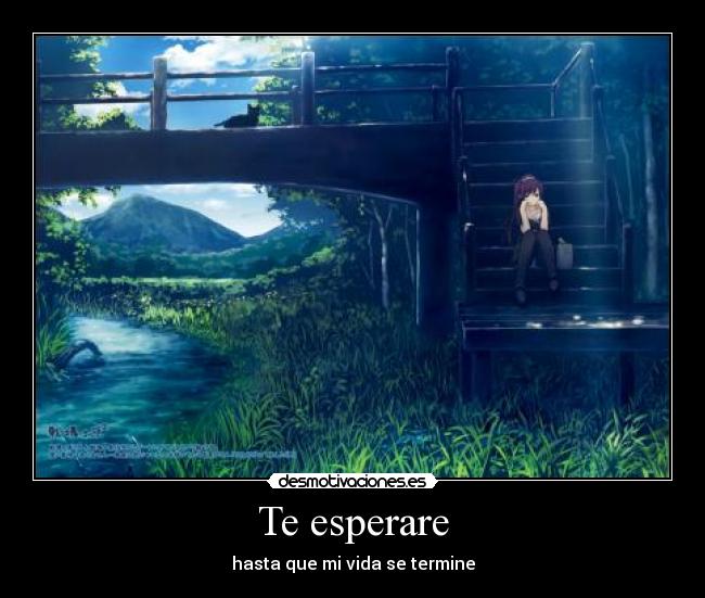 Te esperare -