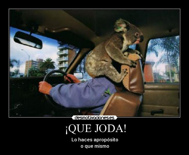 ¡QUE JODA! - Lo haces apropósito
o que mismo