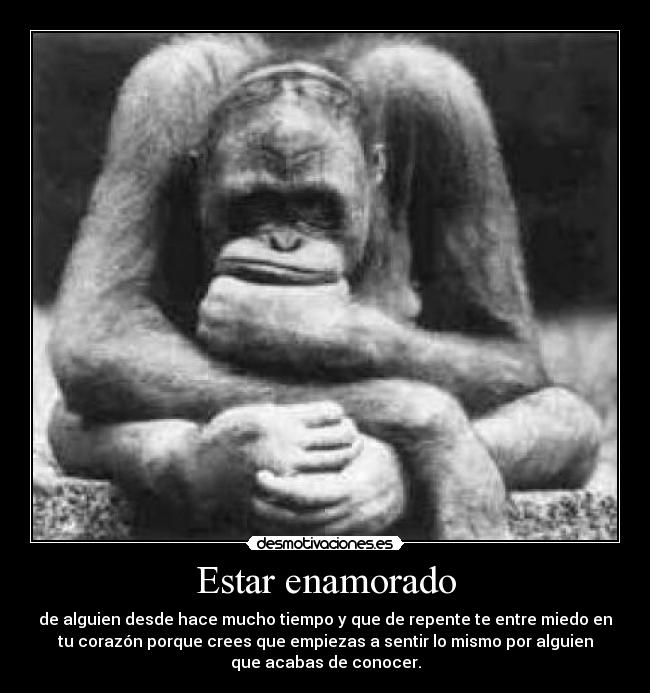 Estar enamorado - 