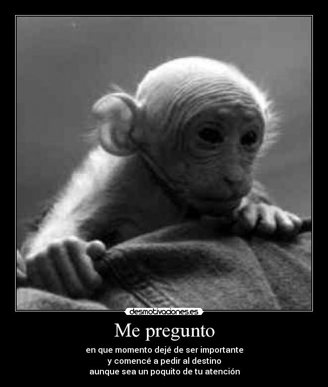 carteles todo cambia desmotivaciones