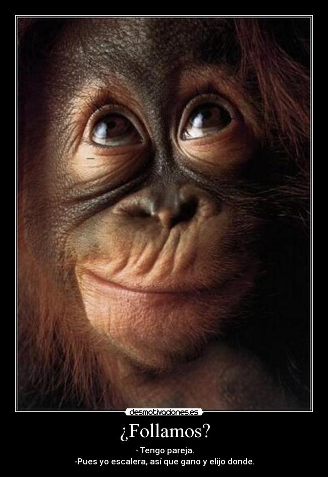 carteles alwaysmilee desmotivaciones