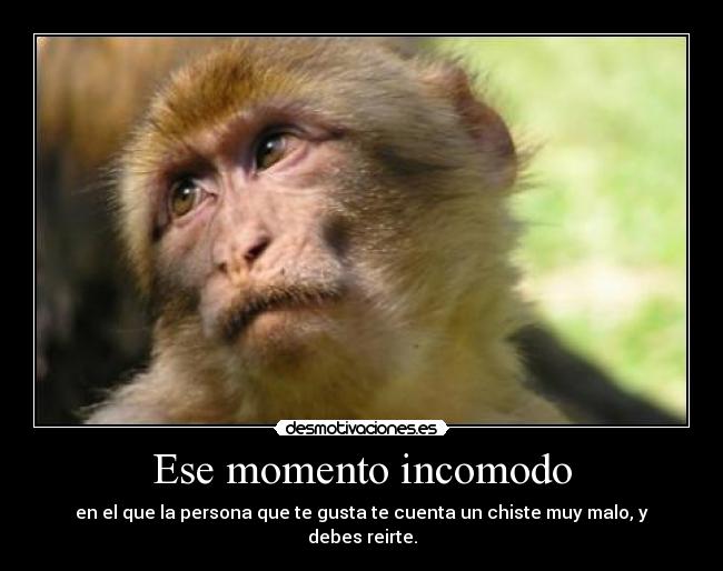 carteles novios monos principal cuadrar desmotivaciones