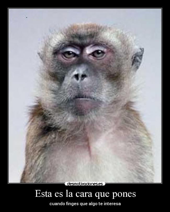 Esta es la cara que pones - 