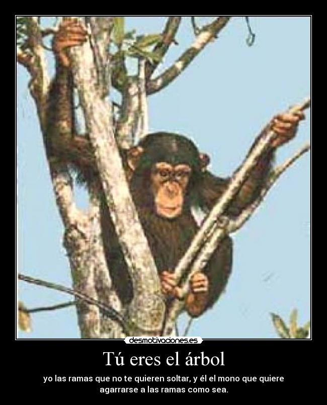 Tú eres el árbol - yo las ramas que no te quieren soltar, y él el mono que quiere
agarrarse a las ramas como sea.