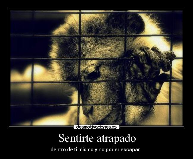 Sentirte atrapado - dentro de ti mismo y no poder escapar...